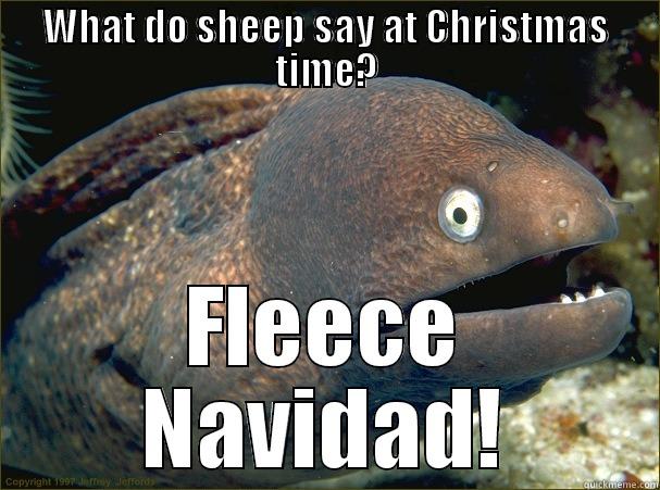 WHAT DO SHEEP SAY AT CHRISTMAS TIME? FLEECE NAVIDAD! Bad Joke Eel