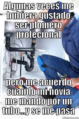 ALGUNAS VECES ME HUBIERA GUSTADO SER PLOMERO PROFECIONAL PERO ME ACUERDO CUANDO MI NOVIA ME MANDO POR UN TUBO...Y SE ME PASA Misc