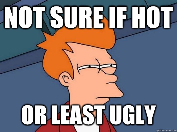 Not sure if hot Or least ugly - Not sure if hot Or least ugly  Futurama Fry