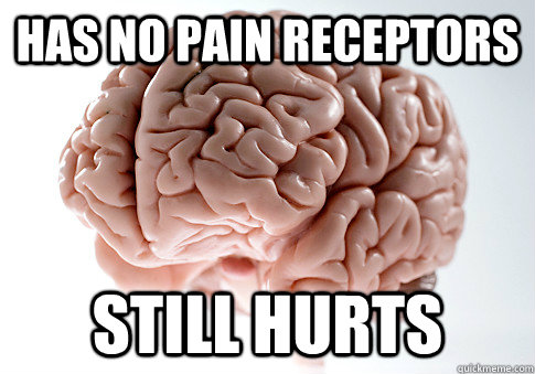 Has no pain receptors still hurts  Scumbag Brain