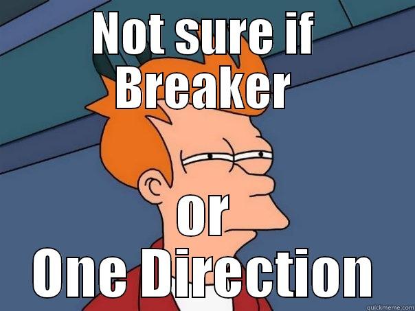 NOT SURE IF BREAKER OR ONE DIRECTION Futurama Fry