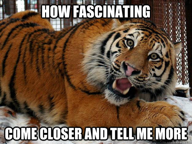 How fascinating Come closer and tell me more  Fascinated Tiger