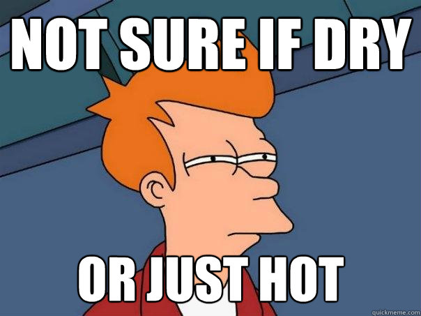 Not sure if dry Or just hot  Futurama Fry