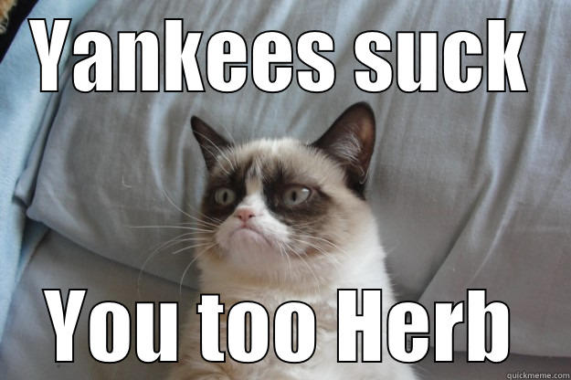 YANKEES SUCK YOU TOO HERB Grumpy Cat