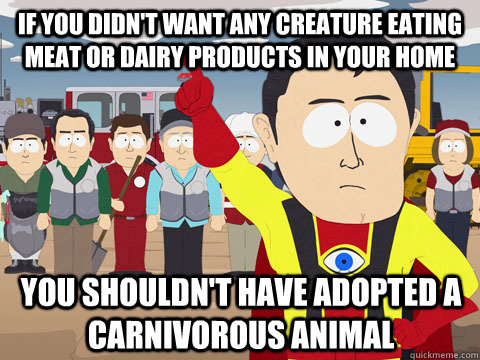 if you didn't want any creature eating meat or dairy products in your home you shouldn't have adopted a carnivorous animal  Captain Hindsight