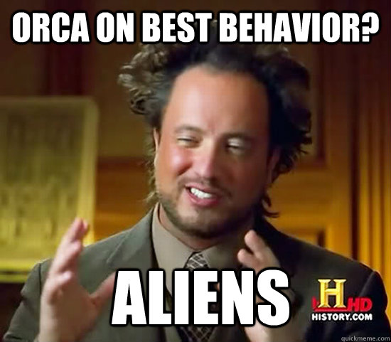 Orca on best behavior?   Aliens  Ancient Aliens