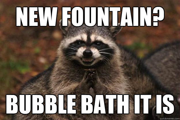 new fountain? bubble bath it is - new fountain? bubble bath it is  Evil Plotting Raccoon