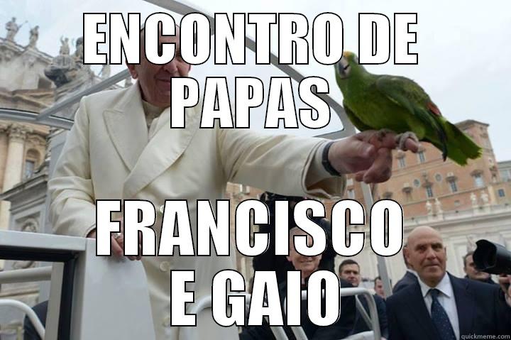 pope parrot - ENCONTRO DE PAPAS FRANCISCO  E GAIO Misc