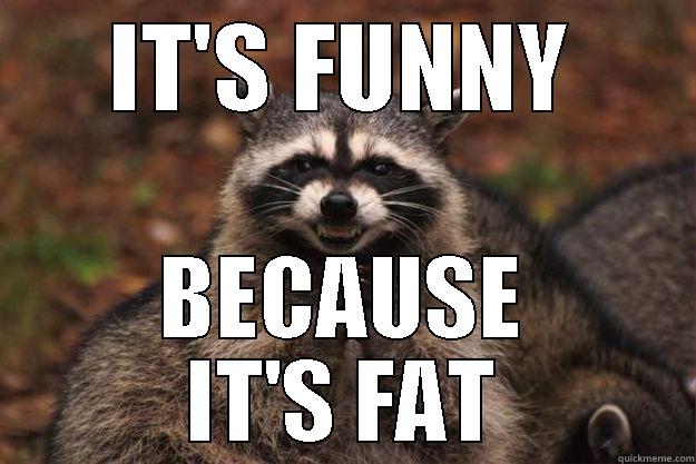 IT'S FUNNY BECAUSE IT'S FAT Evil Plotting Raccoon