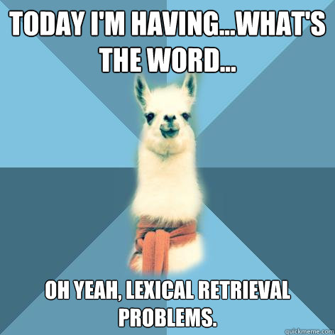 Today I'm having...what's the word... oh yeah, lexical retrieval problems.  Linguist Llama