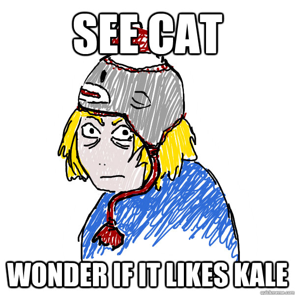 See cat wonder if it likes kale - See cat wonder if it likes kale  gishwhes participant meme