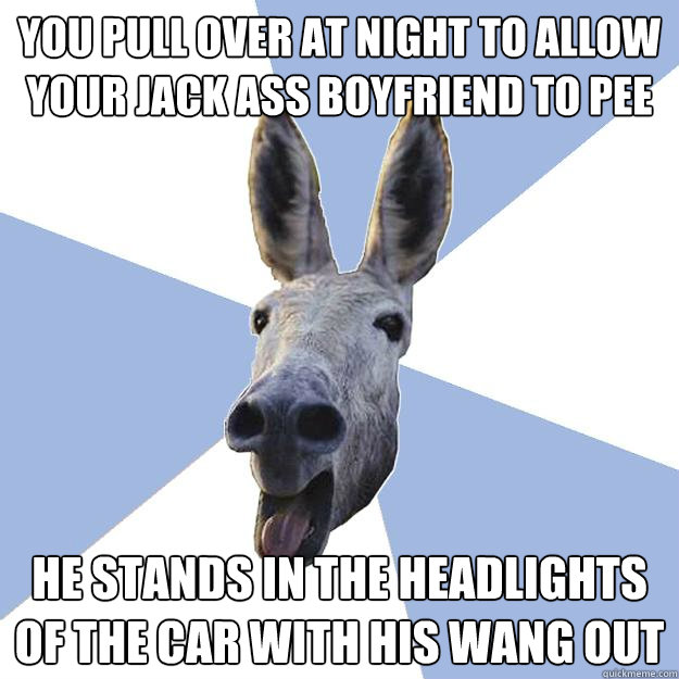 You pull over at night to allow your Jack ass boyfriend to pee He stands in the headlights of the car with his wang out  Jackass Boyfriend