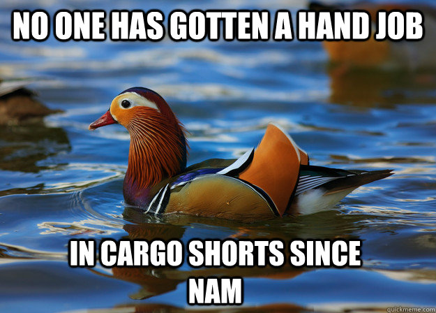 No one has gotten a hand job in cargo shorts since nam  Fashion Advice Mallard