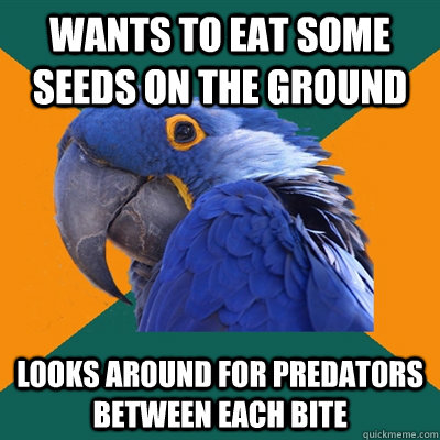 Wants to eat some seeds on the ground Looks around for predators between each bite  Paranoid Parrot