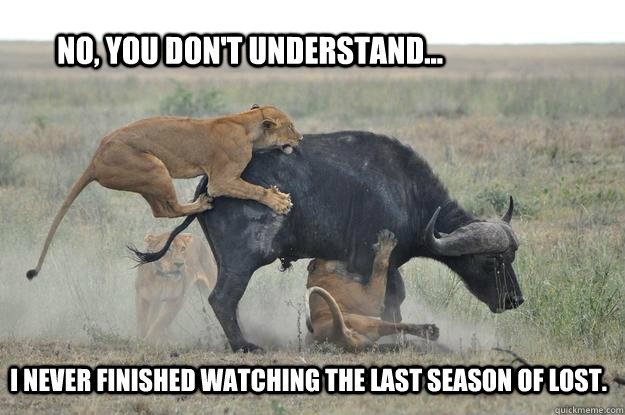 no, you don't understand... i never finished watching the last season of lost. - no, you don't understand... i never finished watching the last season of lost.  Lost