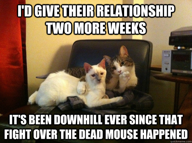 I'd give their relationship two more weeks It's been downhill ever since that fight over the dead mouse happened  