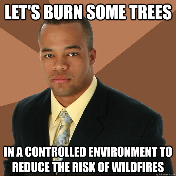 let's burn some trees in a controlled environment to reduce the risk of wildfires - let's burn some trees in a controlled environment to reduce the risk of wildfires  Successful Black Man