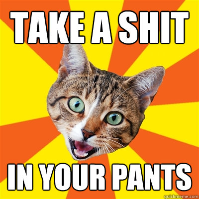 take a shit in your pants  Bad Advice Cat