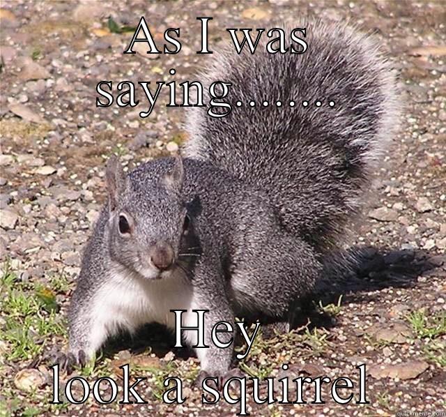 AS I WAS SAYING........ HEY LOOK A SQUIRREL  Misc