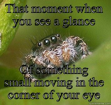 Corner creepin crawlers  - THAT MOMENT WHEN YOU SEE A GLANCE OF SOMETHING SMALL MOVING IN THE CORNER OF YOUR EYE Misunderstood Spider