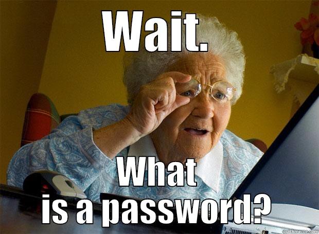 WAIT. WHAT IS A PASSWORD? Grandma finds the Internet