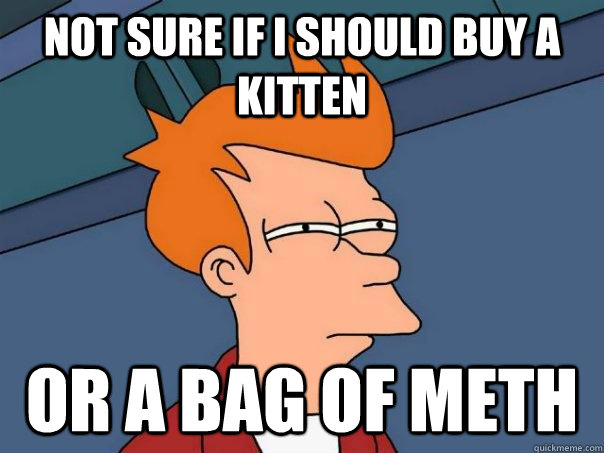 Not sure if I should buy a kitten or a bag of meth - Not sure if I should buy a kitten or a bag of meth  Futurama Fry