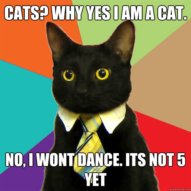 Cats? Why yes I am a cat. No, I wont dance. Its not 5 yet  Business Cat