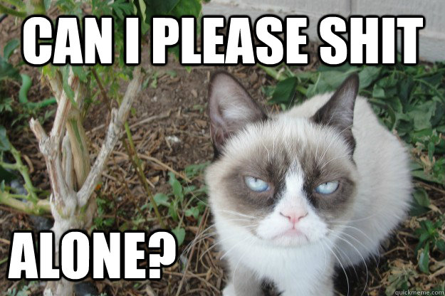 Can i please shit alone?                  Grumpy Cat