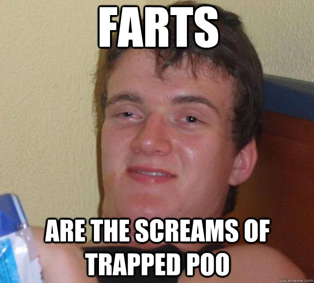 Farts are the screams of trapped poo - Farts are the screams of trapped poo  10 Guy