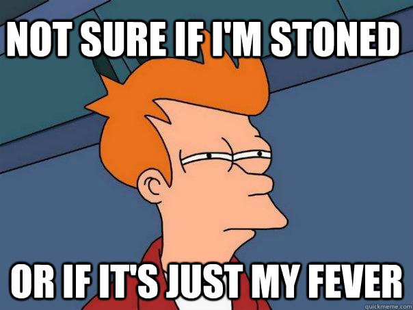 Not sure if i'm stoned or if it's just my fever  Futurama Fry