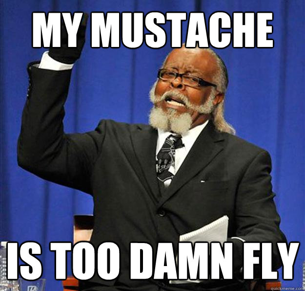 My Mustache Is too damn fly - My Mustache Is too damn fly  Jimmy McMillan