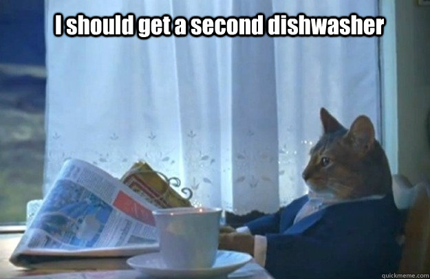 I should get a second dishwasher  Sophisticated Cat