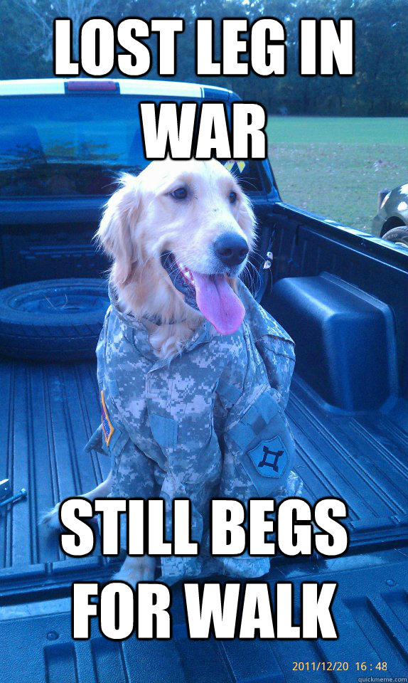 Lost leg in war Still begs for walk - Lost leg in war Still begs for walk  bentloops