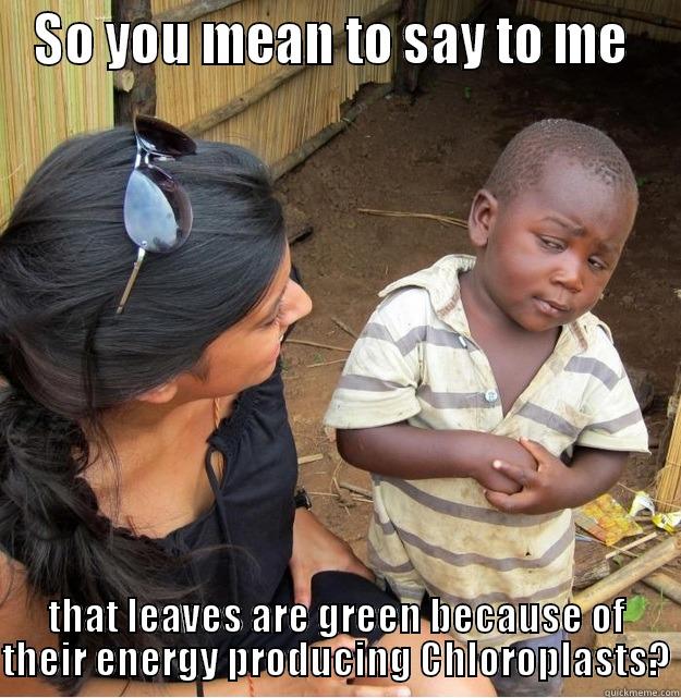 SO YOU MEAN TO SAY TO ME  THAT LEAVES ARE GREEN BECAUSE OF THEIR ENERGY PRODUCING CHLOROPLASTS? Skeptical Third World Kid