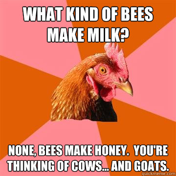 What kind of bees make milk? None, bees make honey.  You're thinking of cows... and goats.  Anti-Joke Chicken