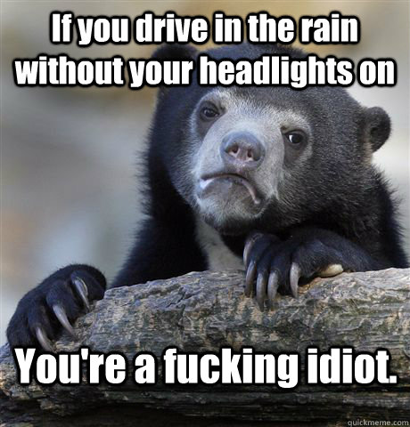 If you drive in the rain without your headlights on You're a fucking idiot.  Confession Bear