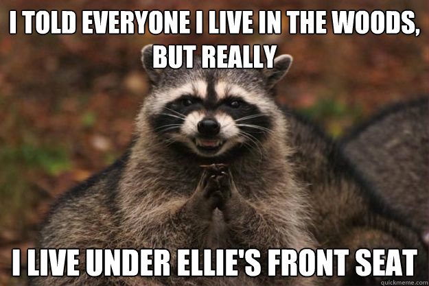 I told everyone I live in the woods, but really I live under Ellie's front seat  Evil Plotting Raccoon