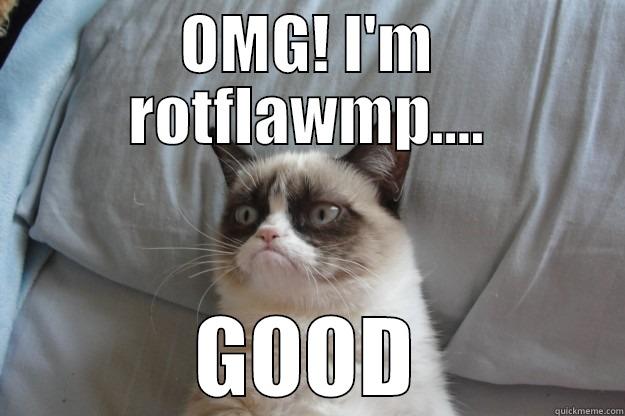 OMG! I'M ROTFLAWMP.... GOOD Grumpy Cat