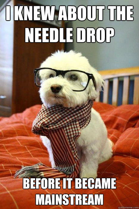 I knew about The Needle Drop Before it became MAINSTREAM  Hipster Dog