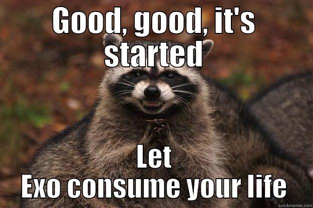 GOOD, GOOD, IT'S STARTED LET EXO CONSUME YOUR LIFE Evil Plotting Raccoon