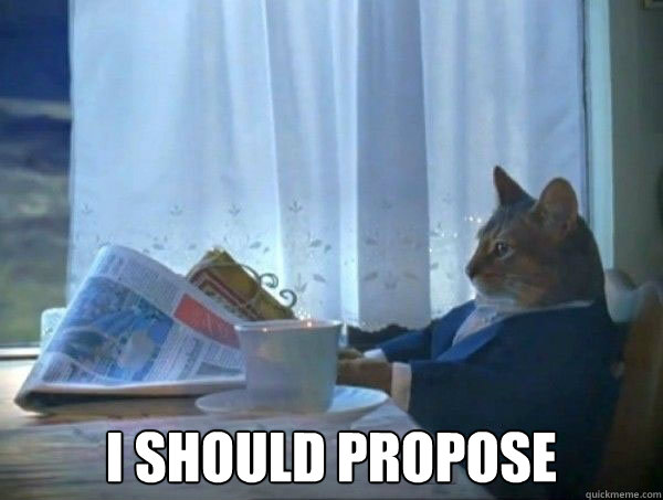  I should propose  