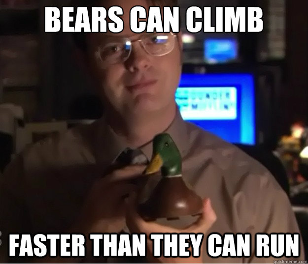 Bears can climb Faster than they can run - Bears can climb Faster than they can run  Misc