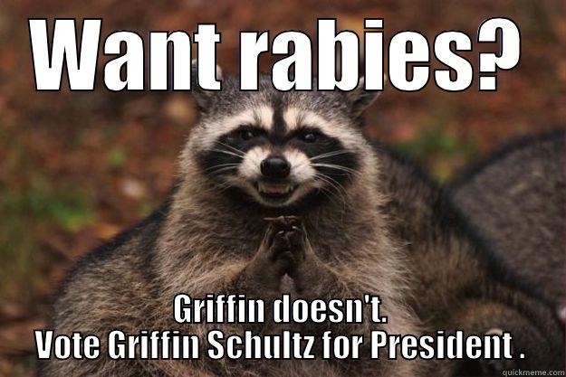 WANT RABIES? GRIFFIN DOESN'T. VOTE GRIFFIN SCHULTZ FOR PRESIDENT . Evil Plotting Raccoon