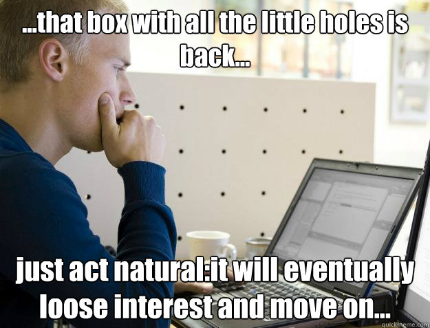 ...that box with all the little holes is back... just act natural:it will eventually loose interest and move on... - ...that box with all the little holes is back... just act natural:it will eventually loose interest and move on...  Programmer