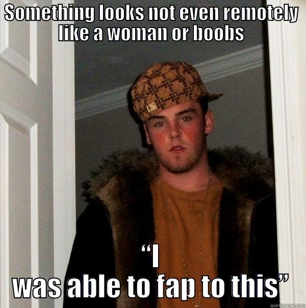 SOMETHING LOOKS NOT EVEN REMOTELY LIKE A WOMAN OR BOOBS “I WAS ABLE TO FAP TO THIS” Scumbag Steve