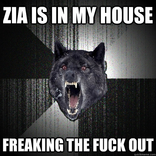 ZIA IS IN MY HOUSE FREAKING THE FUCK OUT   Insanity Wolf