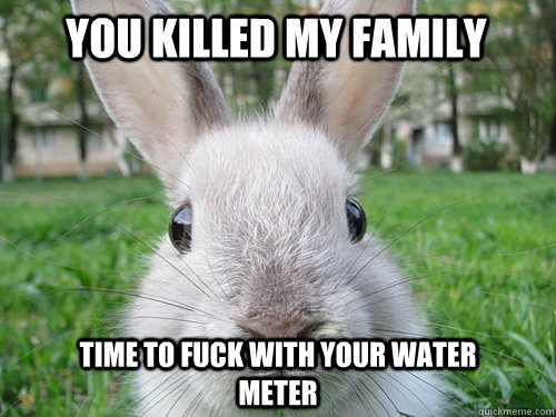 You killed my family Time to fuck with your water meter  