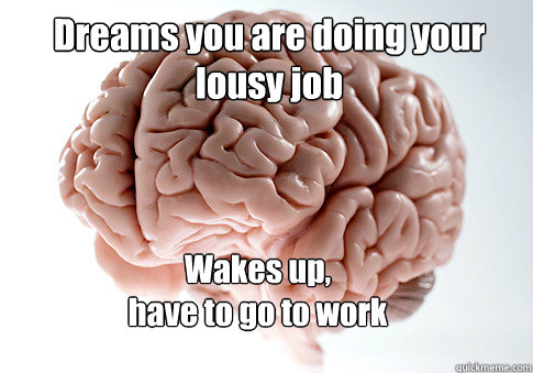 Dreams you are doing your lousy job Wakes up,
have to go to work   Scumbag Brain