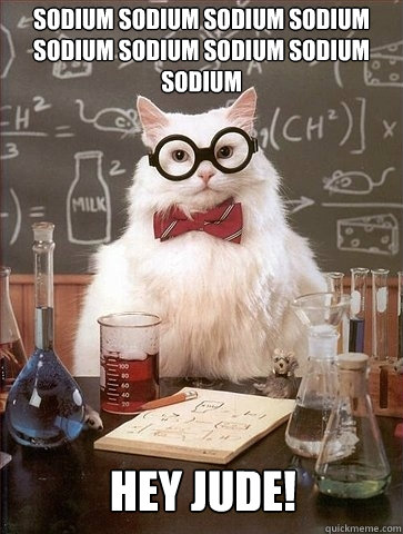 sodium sodium sodium sodium sodium sodium sodium sodium sodium hey jude!  Chemistry Cat