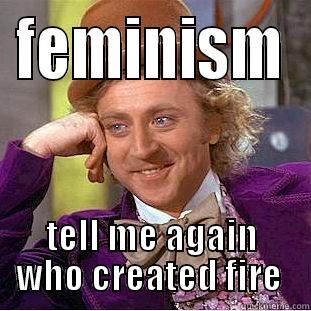 FEMINISM TELL ME AGAIN WHO CREATED FIRE  Condescending Wonka